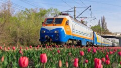 В продаже появились билеты на дополнительные поезда из Алматы до Алаколя
