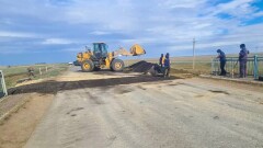 Глава Акмолинского филиала "КазАвтоЖола" решил уволиться из-за дыры на дороге у Коргалжынского заповедника