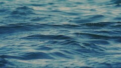 Трое 16-летних подростков утонули при неизвестных обстоятельствах в Атырау