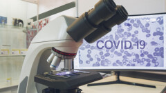 В Турции выявили случаи заражения ещё двумя штаммами Covid-19