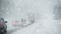 Пропавшую семью из семи человек нашли в Алматинской области