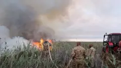На едкий запах гари жалуются жители Атырау: пожар бушует вблизи Каспия