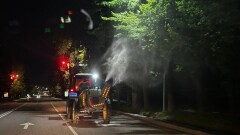Обработку деревьев от вредителей начали в Алматы
