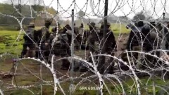 Погранкомитет Беларуси опубликовал видео избиения нелегальных мигрантов на границе Польши