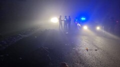Водитель насмерть сбил двух пешеходов на объездной трассе у Талдыкоргана