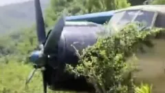 Самолёт Ан-2 приземлился в кусты в Алматинской области