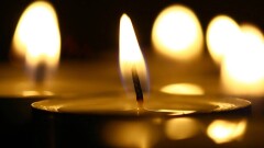Граждане Кыргызстана и Беларуси погибли во время теракта в "Крокус Сити Холле"