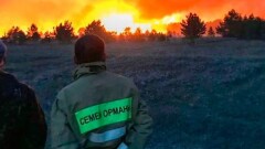 Министр экологии: Работникам "Семей орманы" с 1 июля повысят зарплату