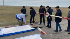В селе Лебяжье в СКО уничтожат всех домашних птиц