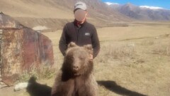 В Жетысуской области задержали мужчину, подозреваемого в отстреле краснокнижного медведя