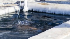 Девять мест для крещенских купаний определили в Алматы