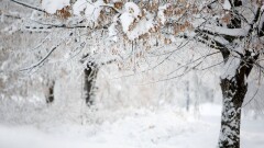 Прогноз погоды на 29 декабря: на большей части Казахстана пройдут осадки
