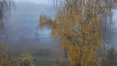 Прогноз погоды на 21 октября: туман ожидается ночью и утром на большей части Казахстана