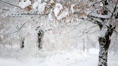 Прогноз погоды на 11 декабря: снег ожидается на севере и востоке Казахстана