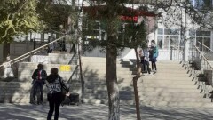 Директора школы в Актобе наказали из-за травли насекомых во время уроков