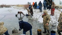 Почти 2 млн молоди рыб спасли из водоканала Баксай в Атырауской области