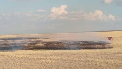 Молния вызвала пожар в природном парке "Буйратау" в Карагандинской области