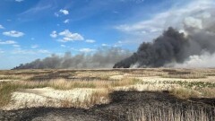 В течение недели не могут потушить камыш в лесничестве Атырауской области