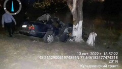 Четверо детей и двое взрослых погибли в ДТП в Алматинской области