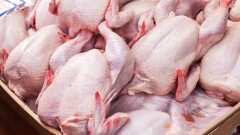 Китай снял ограничения на ввоз птицеводческой продукции из Казахстана, действовавшие почти 20 лет