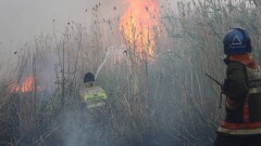 Сухостой горит в Астане: На помощь выехали пожарные Акмолинской и Карагандинской областей