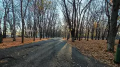 Прогноз погоды на 29 октября: осадки ожидаются на севере Казахстана