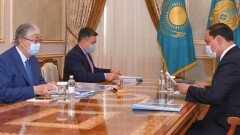 Токаев принял исполняющего обязанности министра сельского хозяйства