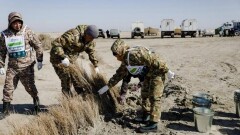 Волонтёры посадили более 5000 саженцев саксаула на дне Арала