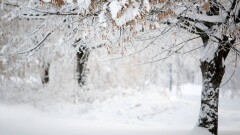Прогноз погоды на 23 декабря: в Астане и на севере страны ожидаются снег, сильный ветер и метель