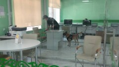 140 раз казахстанские полицейские выезжали по сообщениям о заложенных бомбах с начала года
