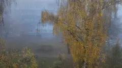 Прогноз погоды на 9 октября: туман и усиление ветра ожидаются почти по всему Казахстану
