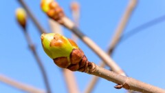 Прогноз погоды на 23 марта: тепло и сухо будет на большей части территории Казахстана