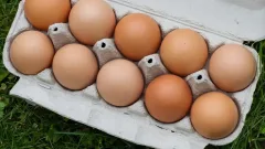 Казахстан ввёл запрет на ввоз куриных яиц