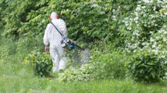В Атырау для борьбы с комарами решили привлечь учёных