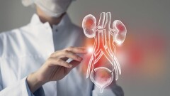 Жителей и гостей Астаны приглашают на бесплатную консультацию урологов-онкологов