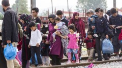 Власти Литвы пообещали платить по 300 евро мигрантам, согласившимся вернуться домой