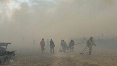 Огонь от горящего камыша в Алматинской области перекинулся на лес. Завели уголовное дело