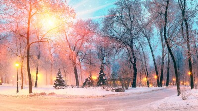 Прогноз погоды на 12 февраля: низовая метель и гололёд ожидаются на севере, востоке и в центре Казахстана