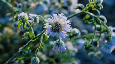 Прогноз погоды на 3 сентября: ночные заморозки на почве ожидаются в центре Казахстана