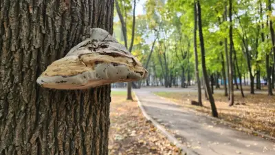 Прогноз погоды на 11 октября: ночные заморозки ожидаются на большей части Казахстана