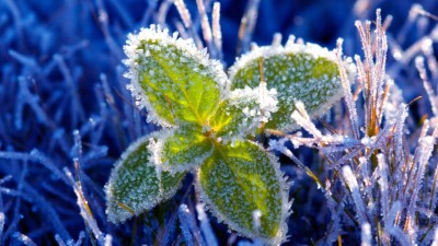 Прогноз погоды на 19 апреля: ночные заморозки сохраняются на юге Казахстана