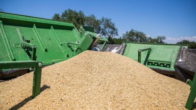 Запрет на ввоз пшеницы ввели в Казахстане