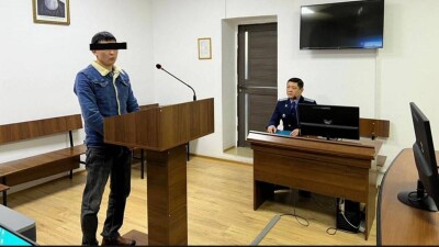Полгода ограничения свободы получил житель Конаева, убивший котёнка