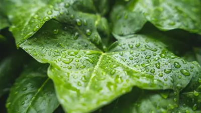 Прогноз погоды на 30 августа: дожди с грозами ожидаются на севере, востоке и в центре Казахстана