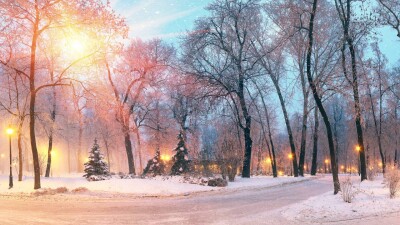 Прогноз погоды на 13 декабря: ослабление морозов ожидается по всему Казахстану