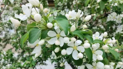 Прогноз погоды на 10 мая: небольшое снижение температуры ожидается на севере страны