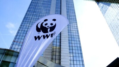 Всемирный фонд дикой природы вслед за Greenpeace объявили нежелательным в России