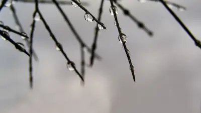 Прогноз погоды на 1 апреля: дожди с грозами ожидаются на западе и юге страны, на севере – туман