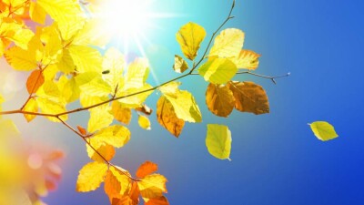 Прогноз погоды на 4 октября: осадков не ожидается на всей территории Казахстана