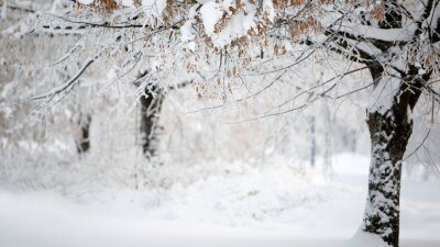 Прогноз погоды на 10 февраля: похолодание и снег ожидаются на юге Казахстана